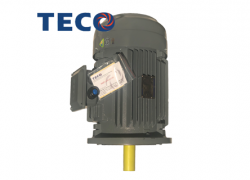 MOTOR TECO TECO LONG THANH