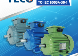 Tiêu chuẩn IEC 60034-30-1  trên động cơ điện TECO.