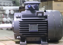 Động cơ điện TECO tiêu chuẩn IE1