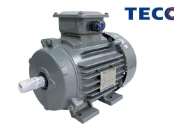 Động cơ điện Teco Việt Nam 