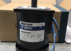 Motor DKM - Model 9IDGK-120FP (120W - 90mm)