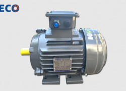 Motor chân đế TECO