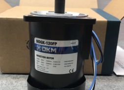Motor DKM - Model 9IDGK-120FP (120W - 90mm)