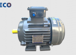 Motor chân đế TECO