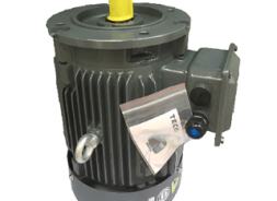 Motor TECO mặt bích