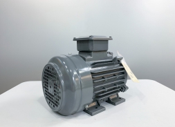 motor 3pha TECO chân đế