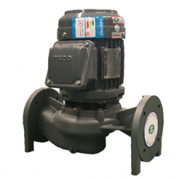  Máy Bơm trục TECO