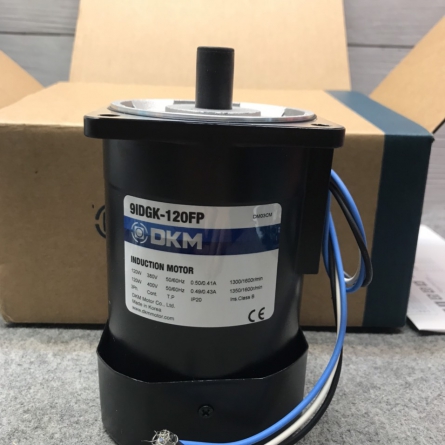 Motor DKM - Model 9IDGK-120FP (120W - 90mm)