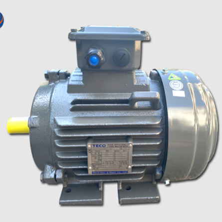 Motor chân đế TECO