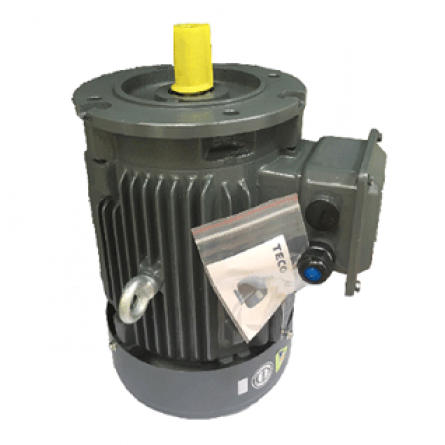 Motor TECO mặt bích